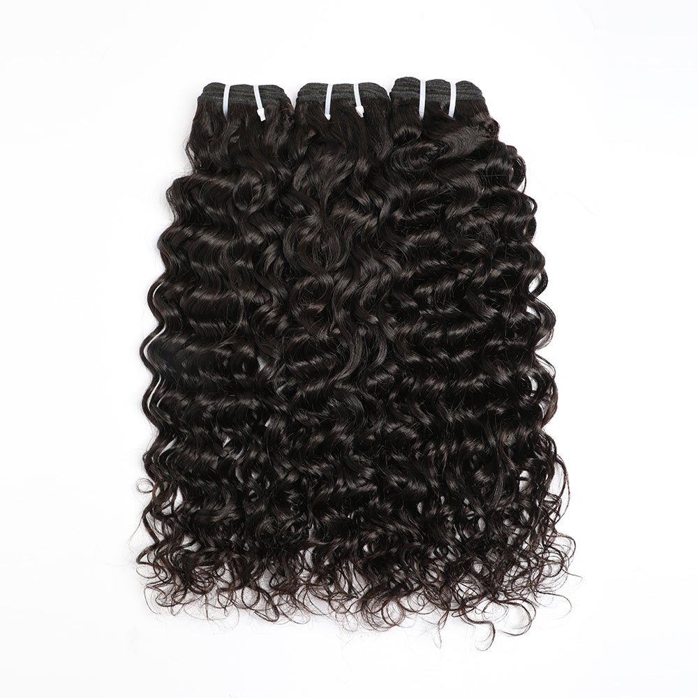 Indian Unprocessed 3 Bundles Water Wave Virgin Hair With 4x4 Lace Closure - Msgem Hair