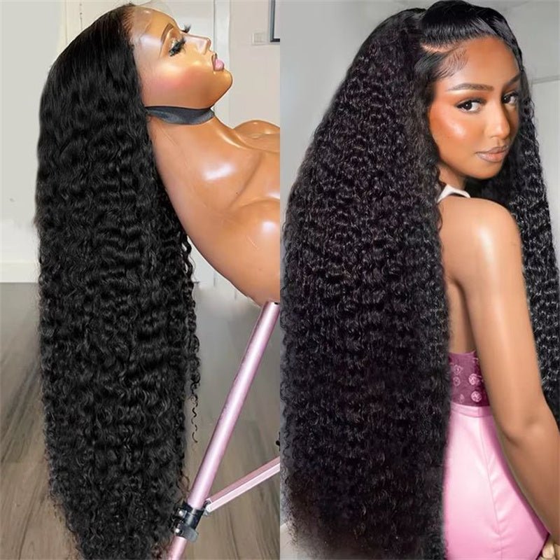 Msgem Vietnamese Curly Lace Front Wig Skin Melt HD Lace Wigs 13x4 13x6 Human Hair Wigs 250% Density - Msgem Hair