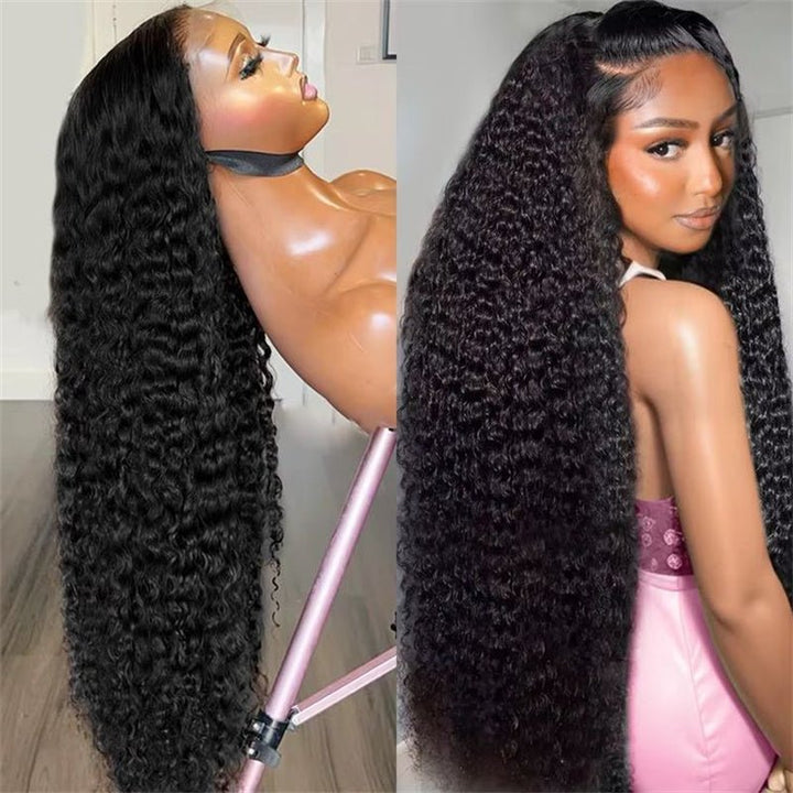 Msgem Vietnamese Curly Lace Front Wig Skin Melt HD Lace Wigs 13x4 13x6 Human Hair Wigs 250% Density - Msgem Hair