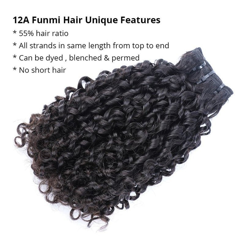 Pixie Curly 3 Bundles with 4x4 Lace Closure Indian Hair - Msgem Hair
